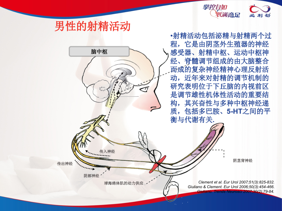 PE治疗的新进展.ppt_第2页