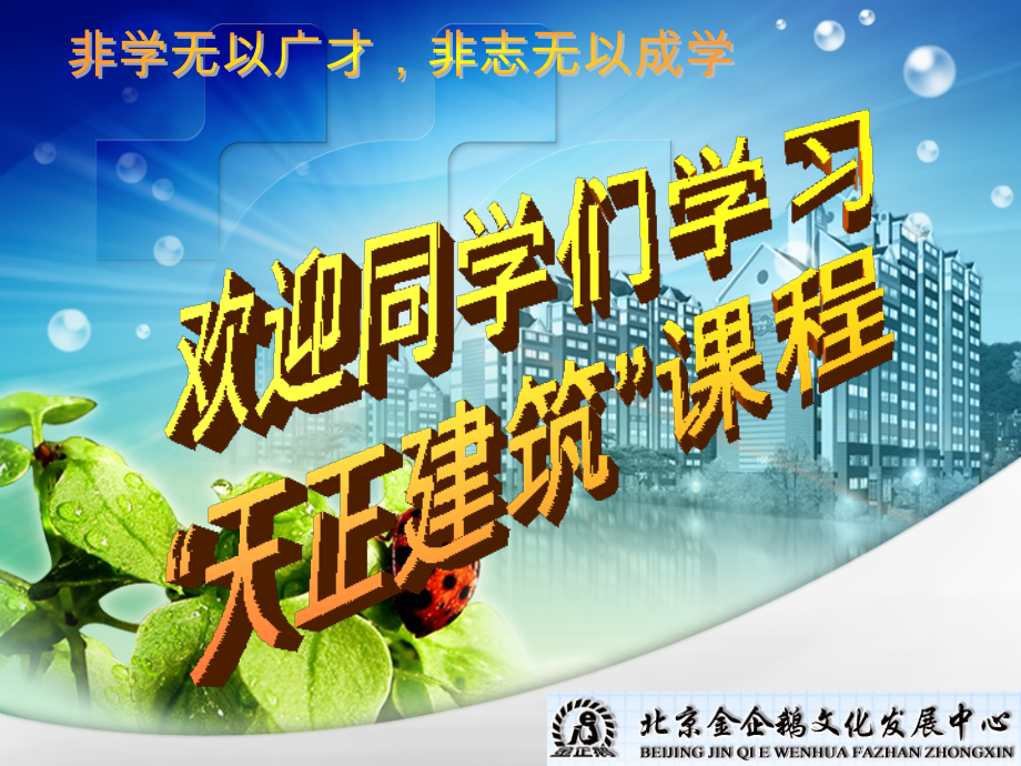 天正房间和屋顶PPT.ppt_第1页