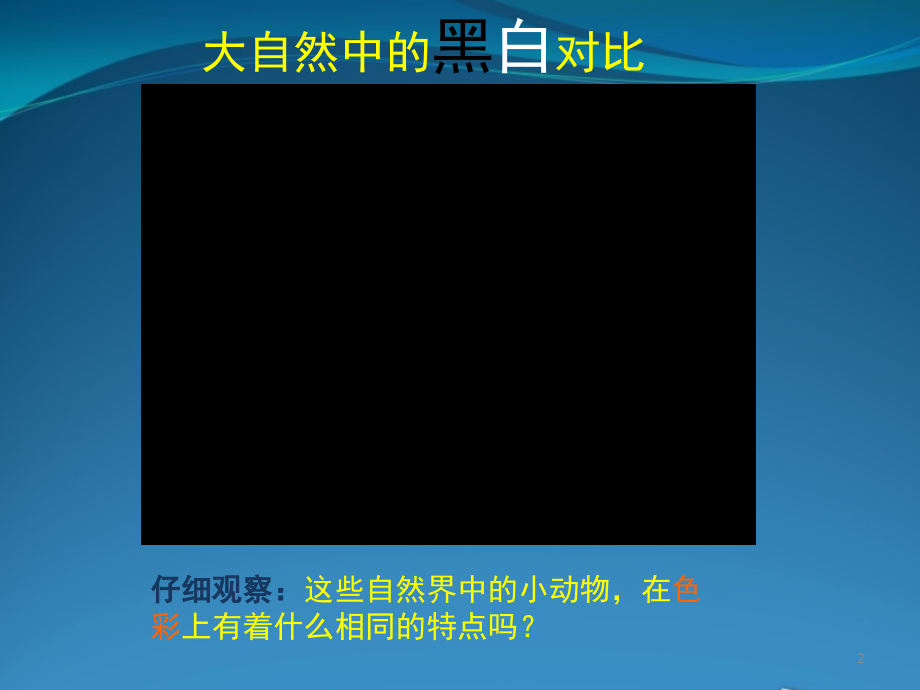 线描画中的黑白对比(课堂PPT).ppt_第2页