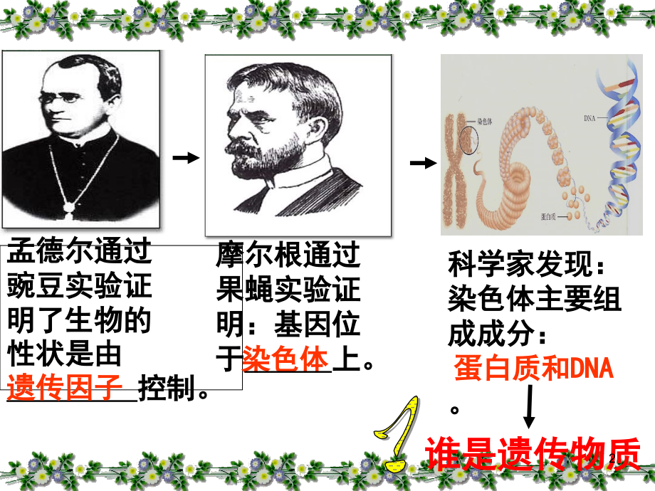 DNA是主要的遗传物质(上课用)(课堂PPT).ppt_第2页