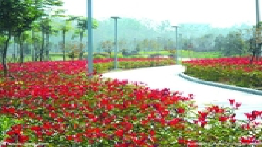 (课件)3、开满鲜花的小路.pptx_第2页
