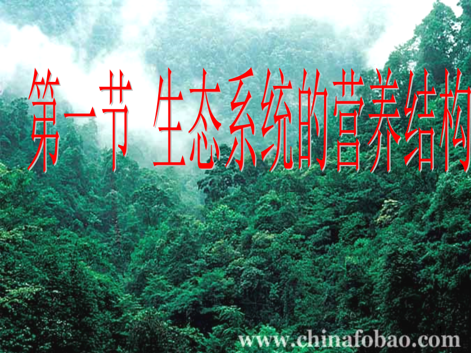 生态系统的营养结构PPT文档.ppt_第1页