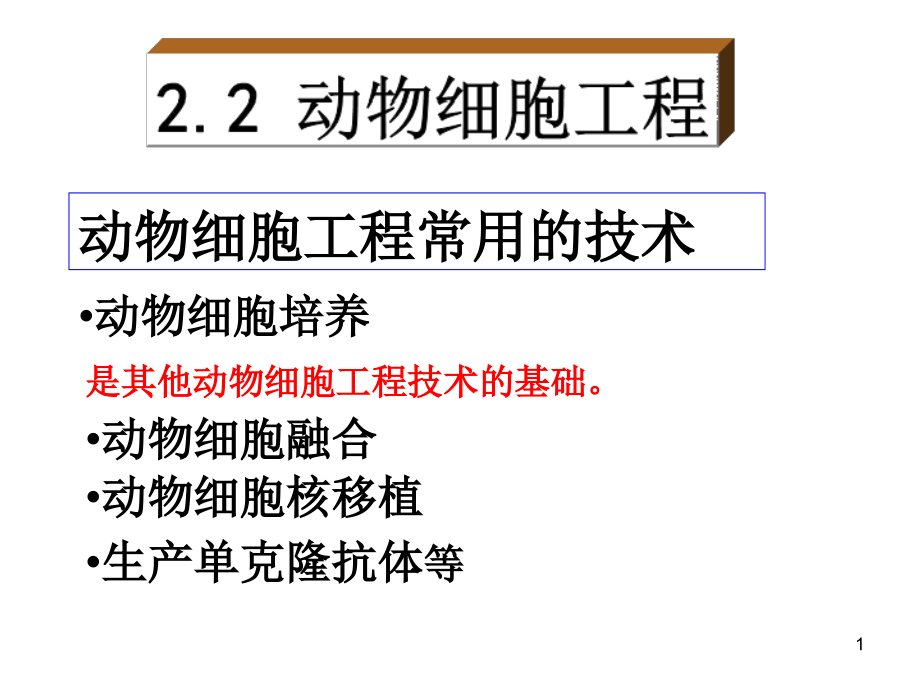 动物细胞培养和核移植技术.ppt_第1页