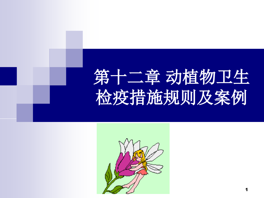 -动植物卫生检疫措施规则及案例优秀PPT.ppt_第1页
