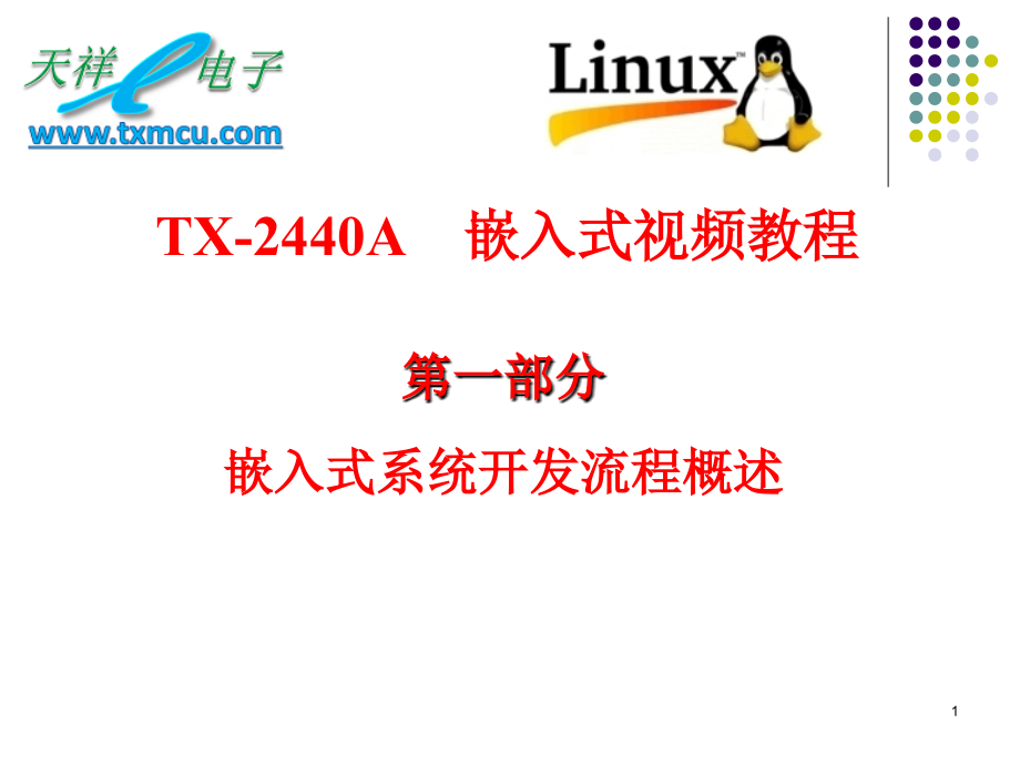 TX2440第一讲课件PPT学习课件.ppt_第1页