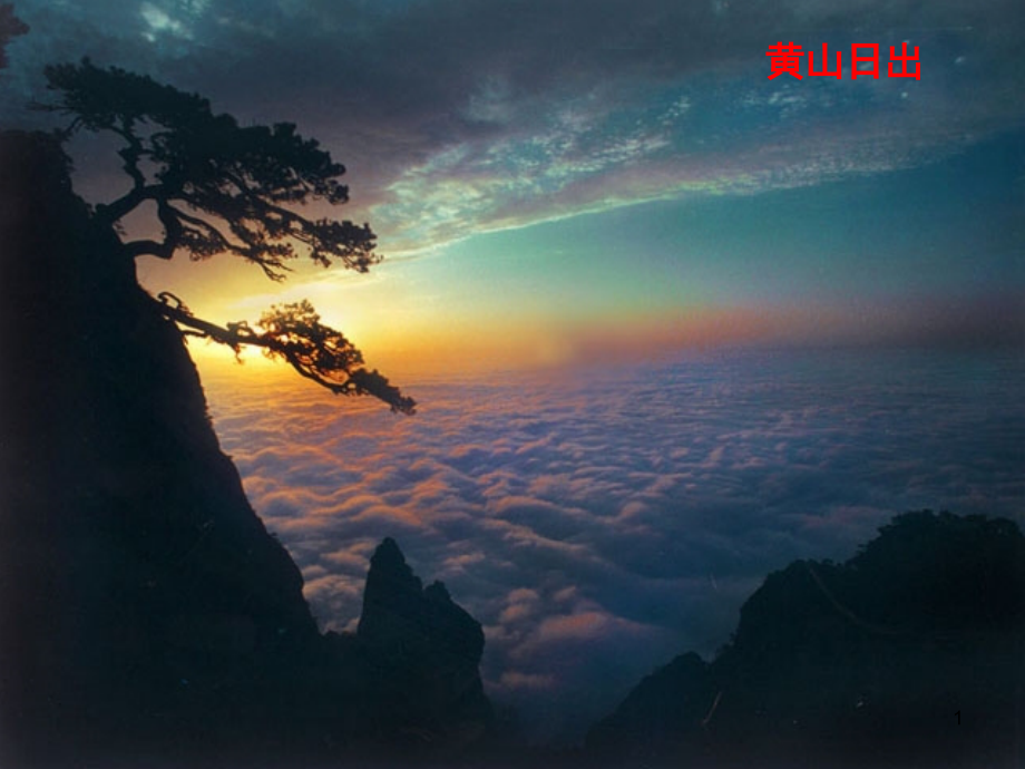 神奇的眼睛(课堂PPT).ppt_第1页