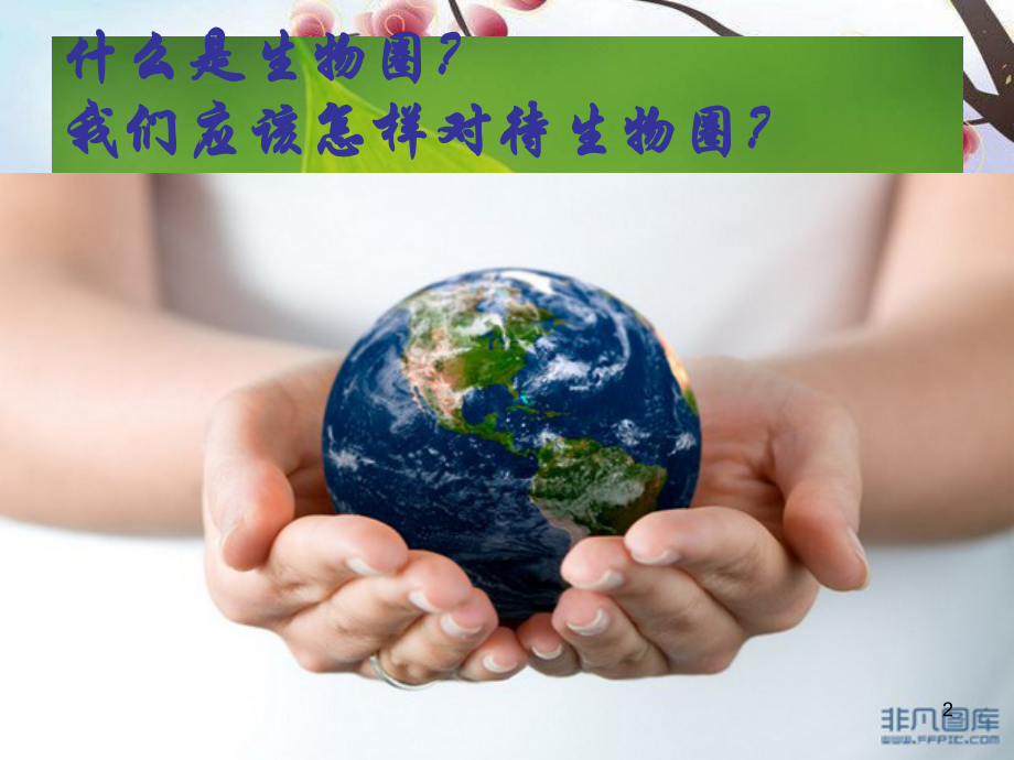 《环境对生物的影响》.ppt_第2页