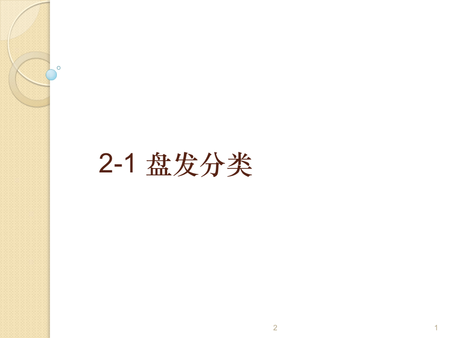 盘发分类(课堂PPT).ppt_第1页