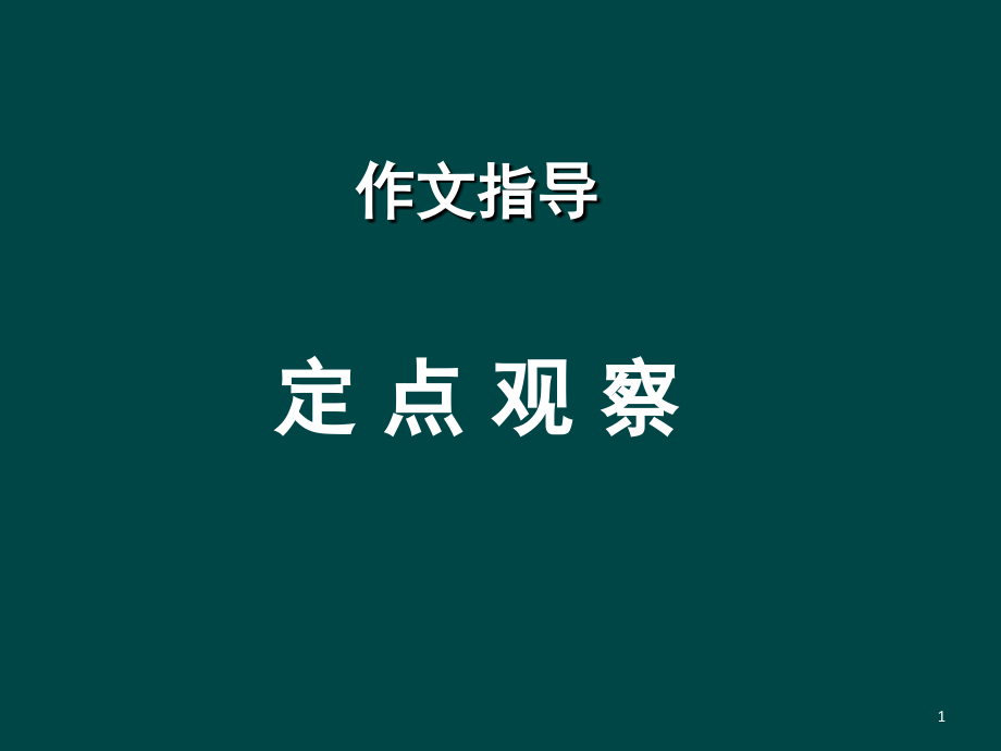 定点观察(课堂PPT).ppt_第1页