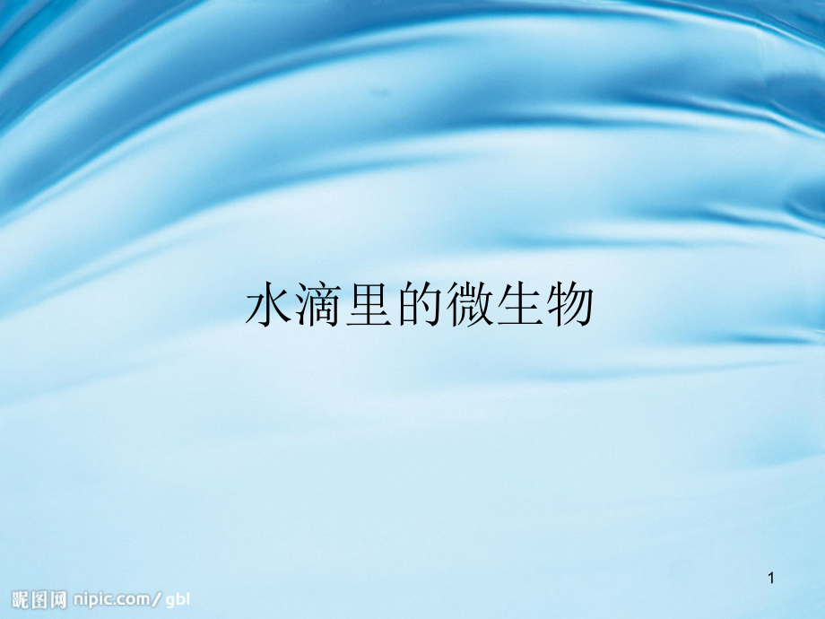 水滴里的微生物PPT文档.ppt_第1页