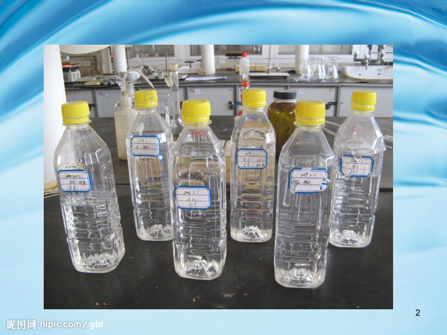 水滴里的微生物PPT文档.ppt_第2页