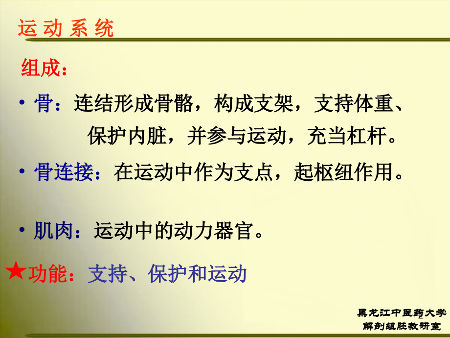 正常人体解剖学-第一节-骨学(课堂PPT).ppt_第2页