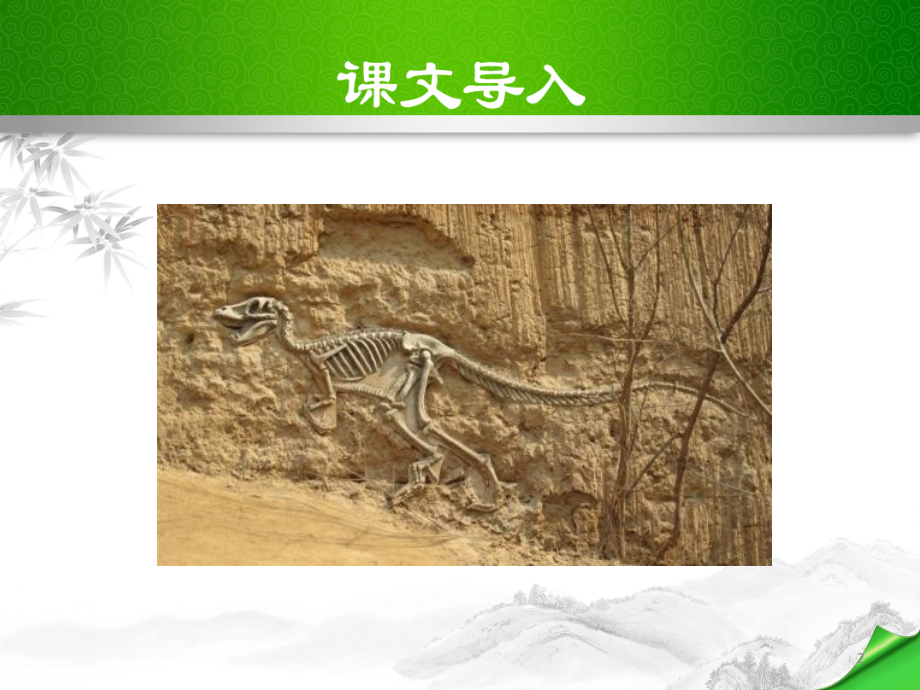 时间的脚印课件.ppt_第2页