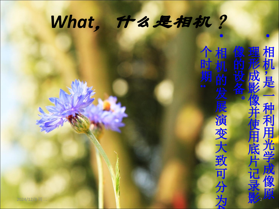 《照相机发展史(图文)》PPT学习课件.ppt_第2页