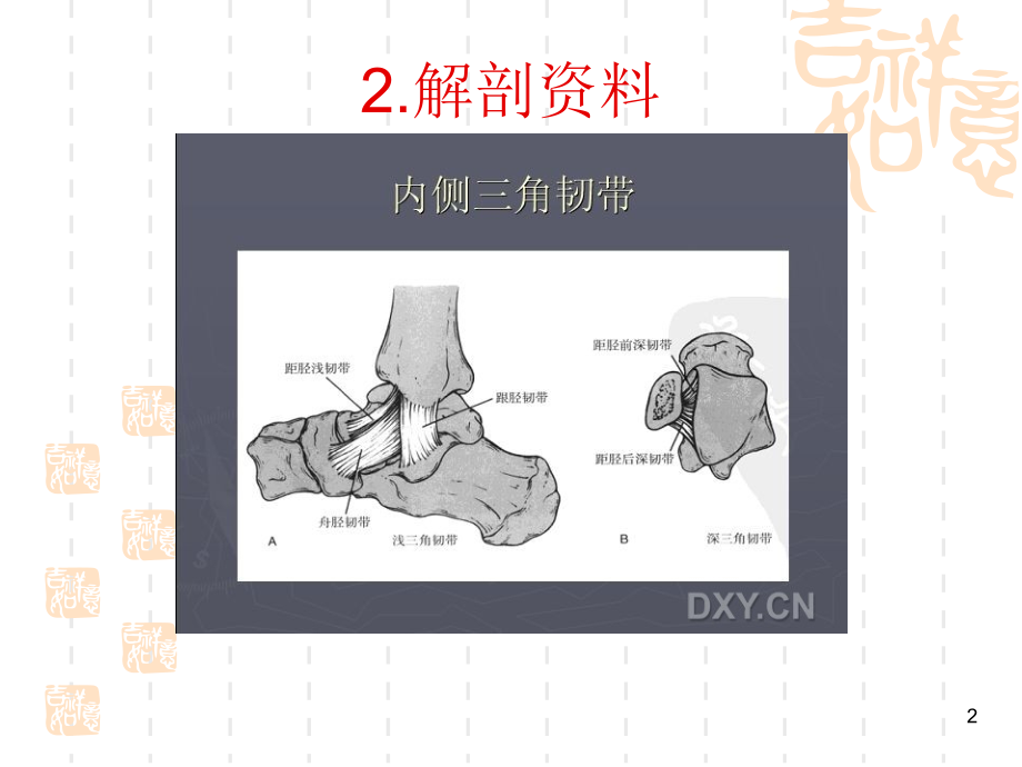 踝关节骨折脱位Lauge-hansen分型优秀PPT.ppt_第2页