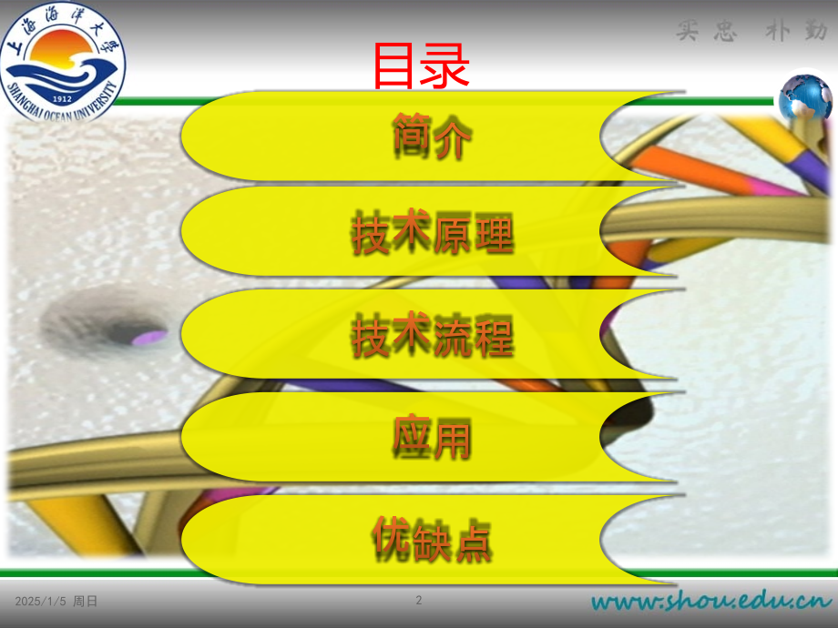 染色质免疫共沉淀PPT学习课件.ppt_第2页