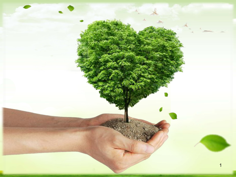 优秀班主任经验交流-(课堂PPT).ppt_第1页