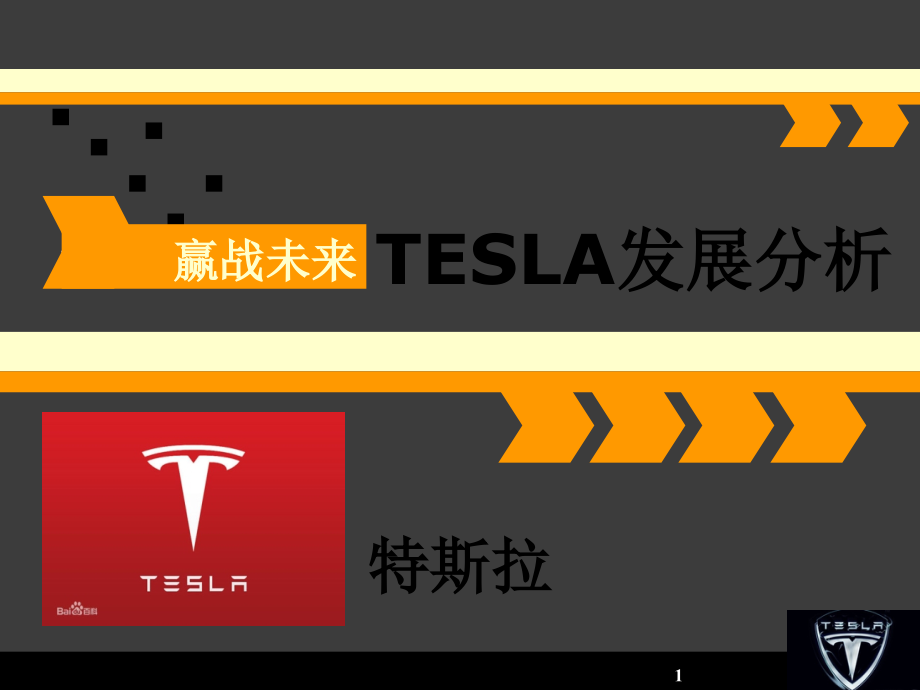 特斯拉报告分析-文档资料.ppt_第1页