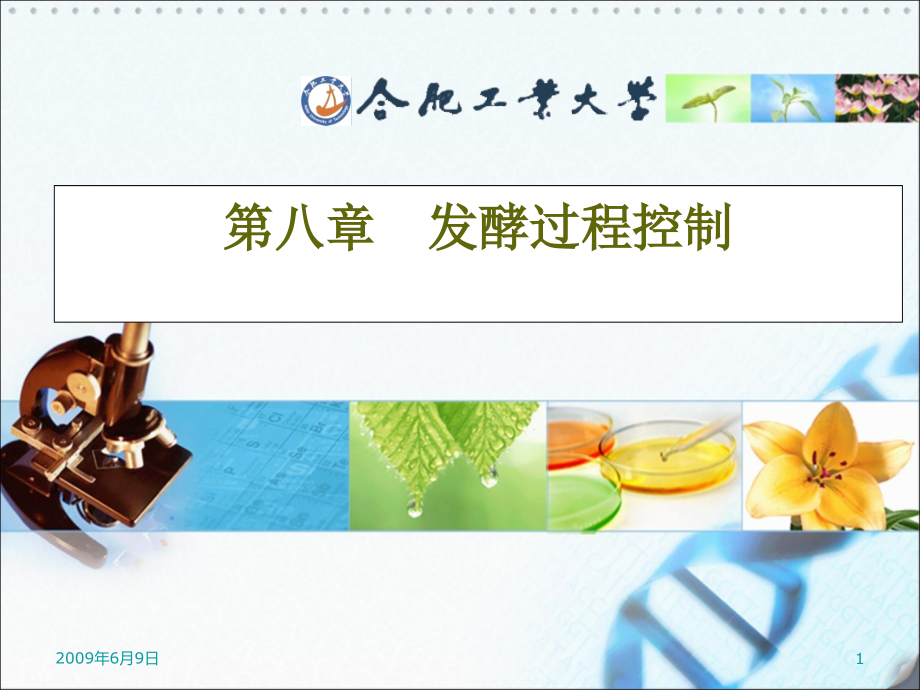 发酵工程-第7章-溶解氧对发酵的影响及其控制.ppt_第1页