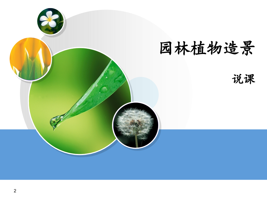 园林植物造景课程说课(课堂PPT).ppt_第2页