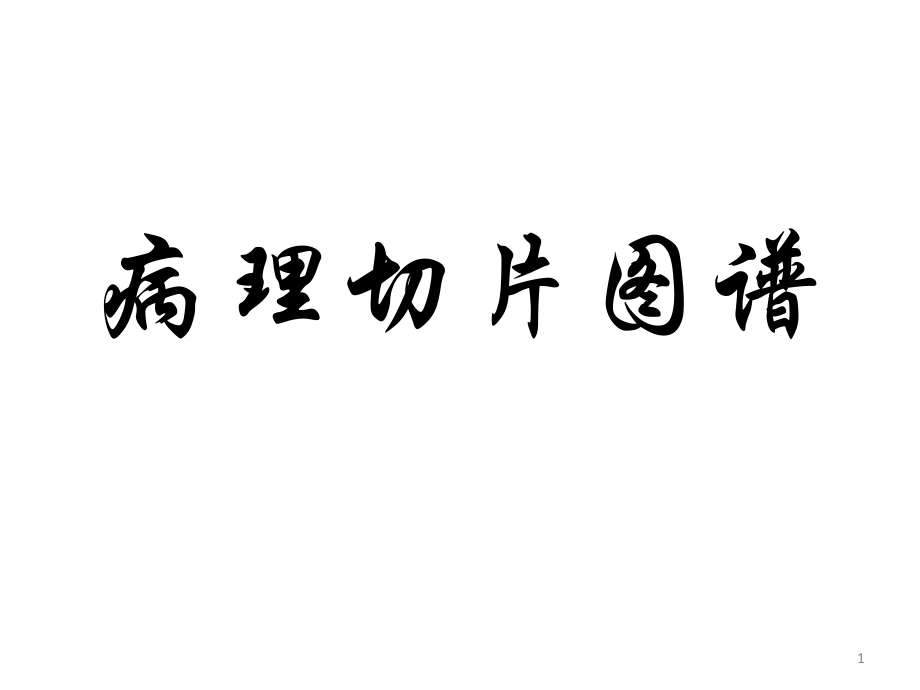 病理切片图PPT参考课件.ppt_第1页