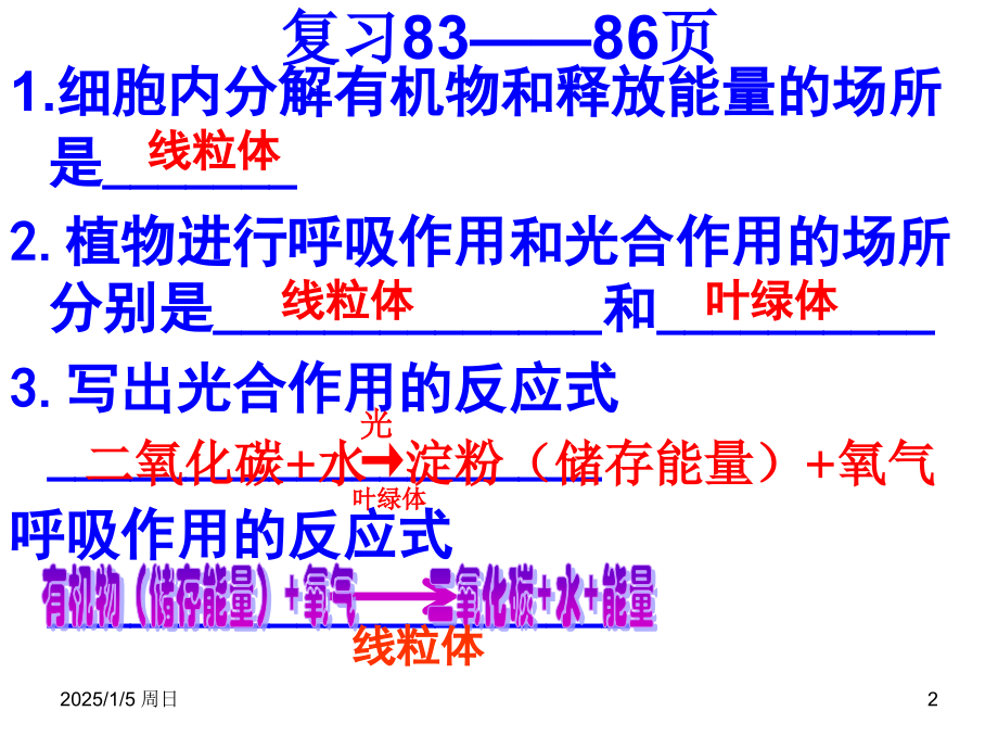 幻灯片-探究植物细胞失水和吸水.ppt_第2页