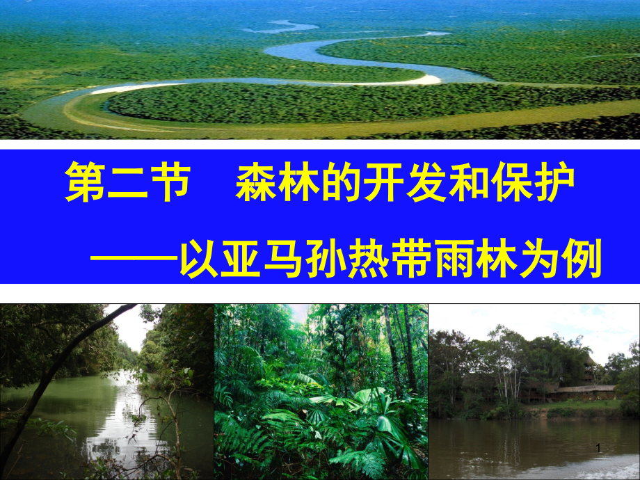 森林的功能PPT文档.ppt_第1页