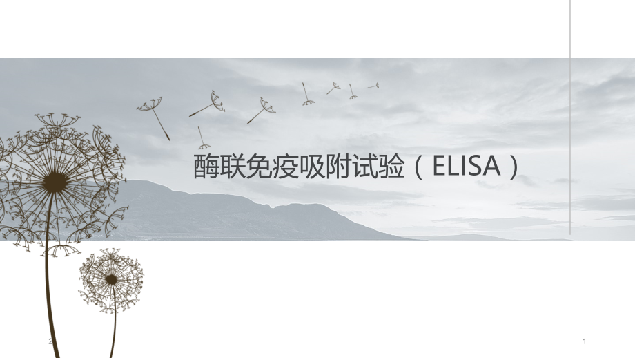 酶联免疫吸附试验(课堂PPT).ppt_第1页