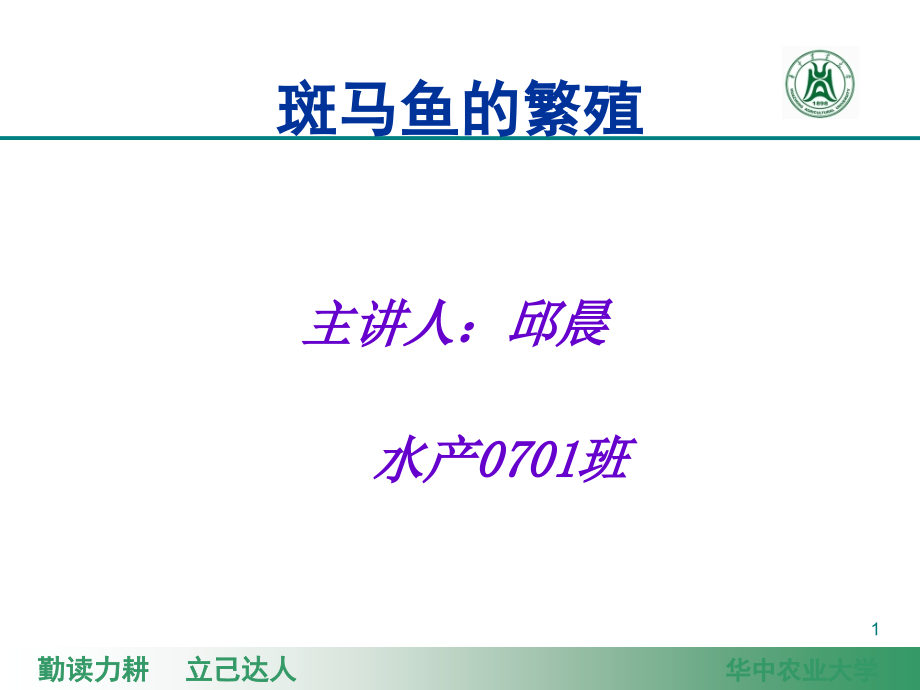 斑马鱼的繁殖优秀PPT.ppt_第1页