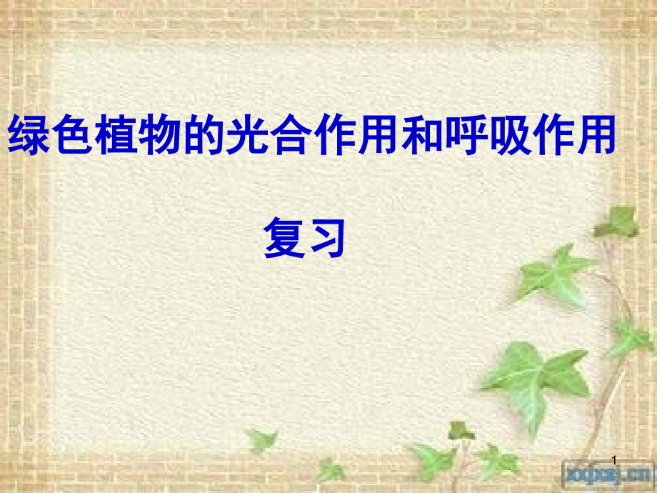 植物的光合作用和呼吸作用复习课件.ppt_第1页