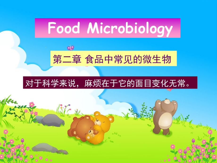 食品中的微生物优秀PPT.ppt_第1页