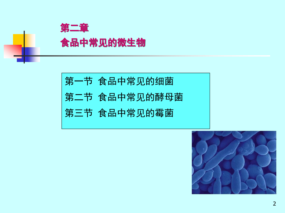 食品中的微生物优秀PPT.ppt_第2页