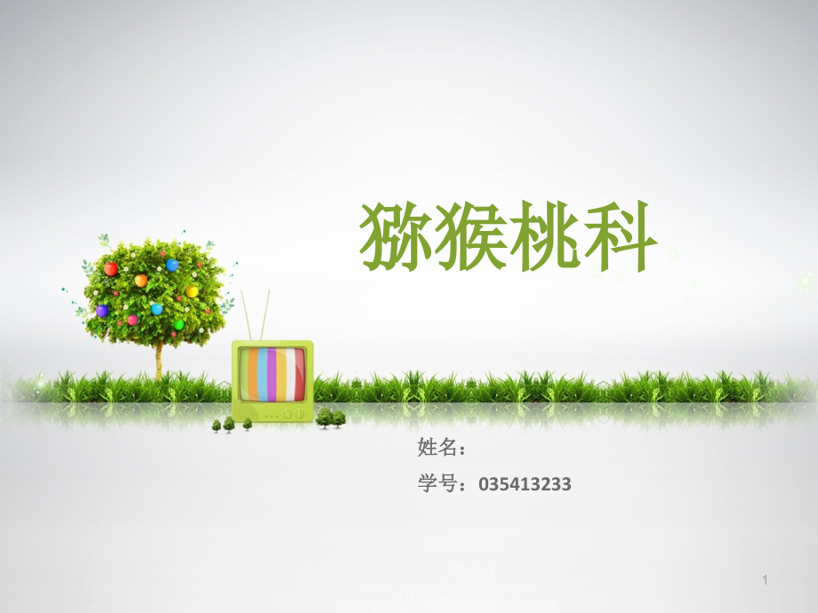 猕猴桃科植物介绍PPT文档.ppt_第1页