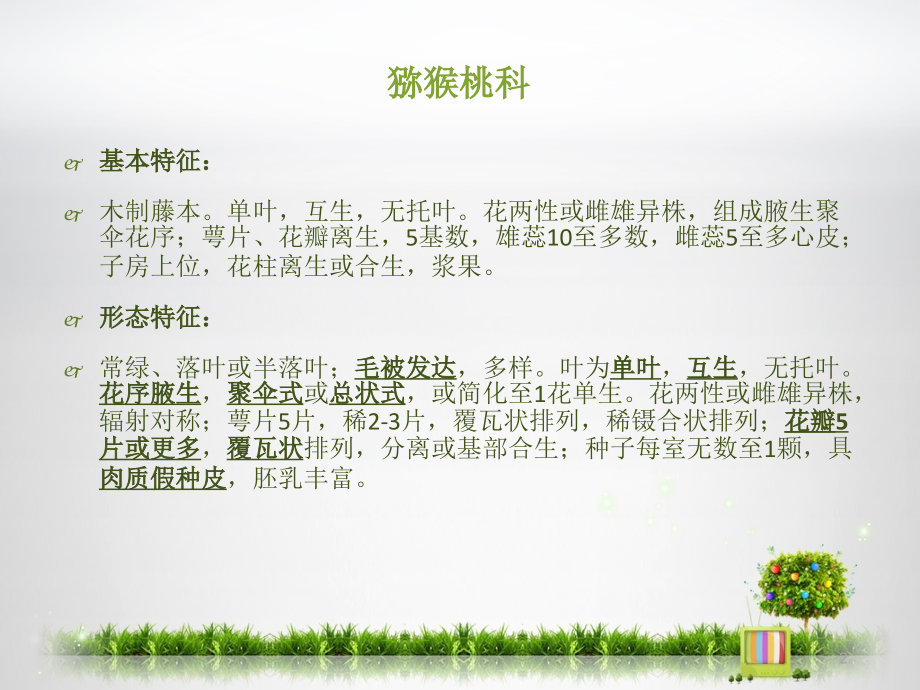 猕猴桃科植物介绍PPT文档.ppt_第2页