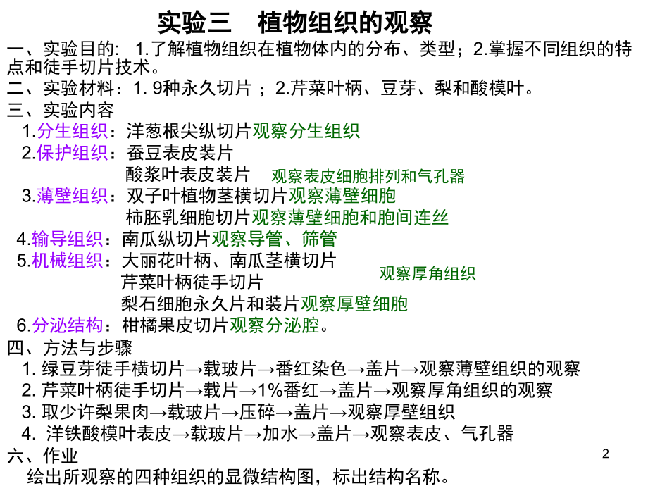 植物实验切片观察(课堂PPT).ppt_第2页