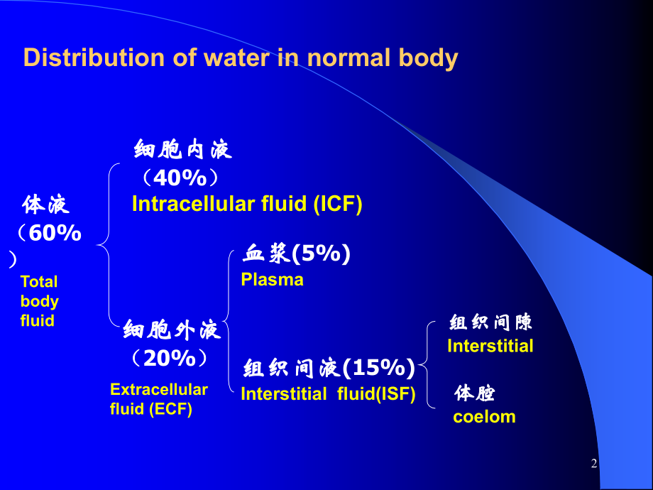 水肿(课堂PPT).ppt_第2页