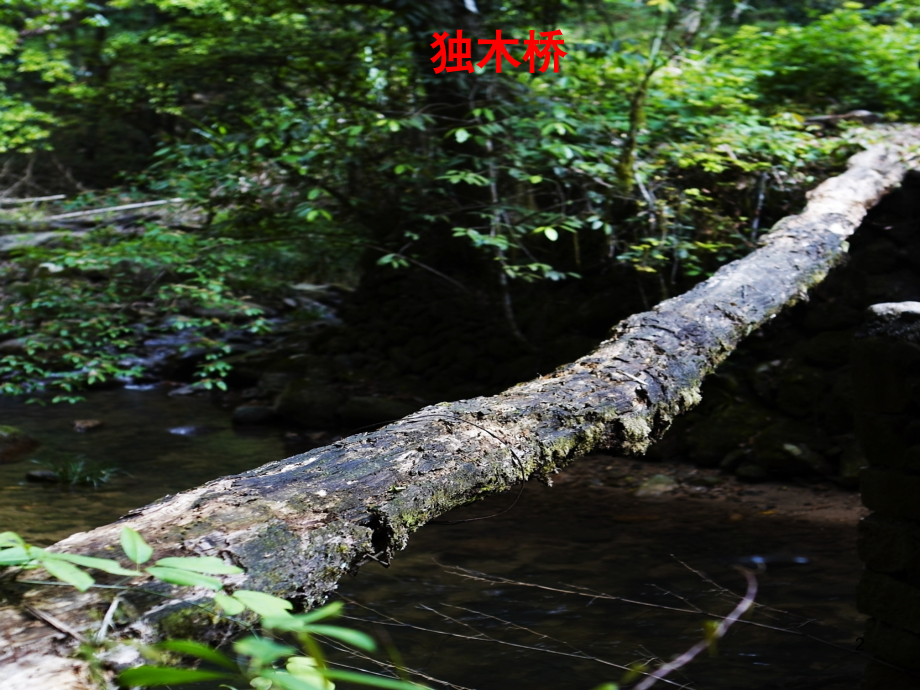 习作桥(课堂PPT).ppt_第2页