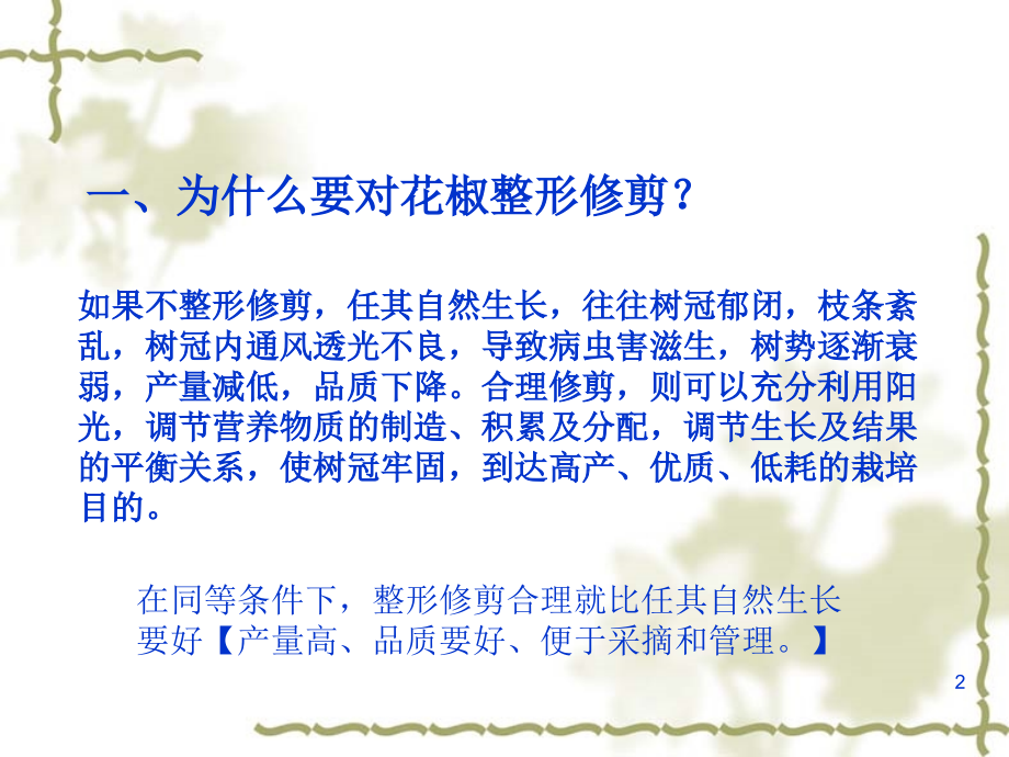 花椒整形修剪技术(课堂PPT).ppt_第2页