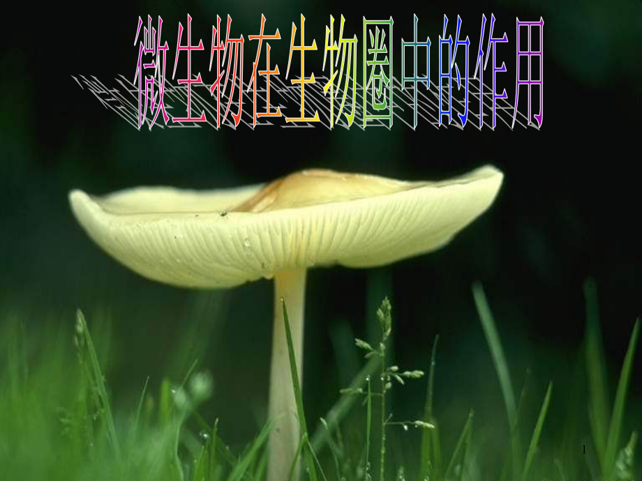 微生物在生物圈中的作用(课堂PPT).ppt_第1页