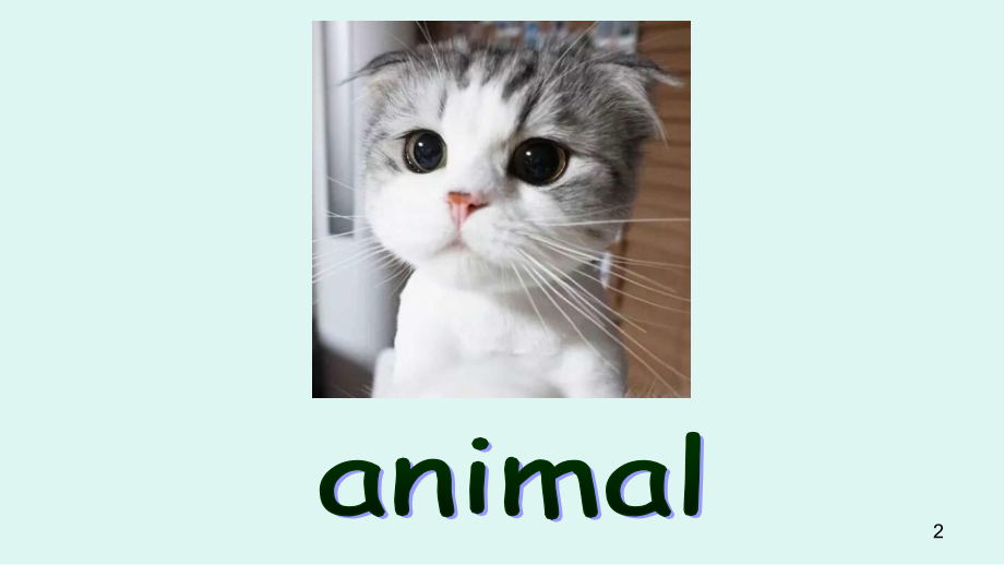 剑桥少儿英语预备级下册第6单元.ppt_第2页