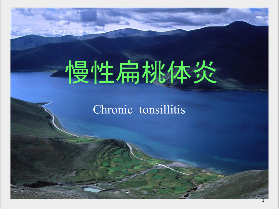 慢性扁桃体炎(课堂PPT).ppt_第1页