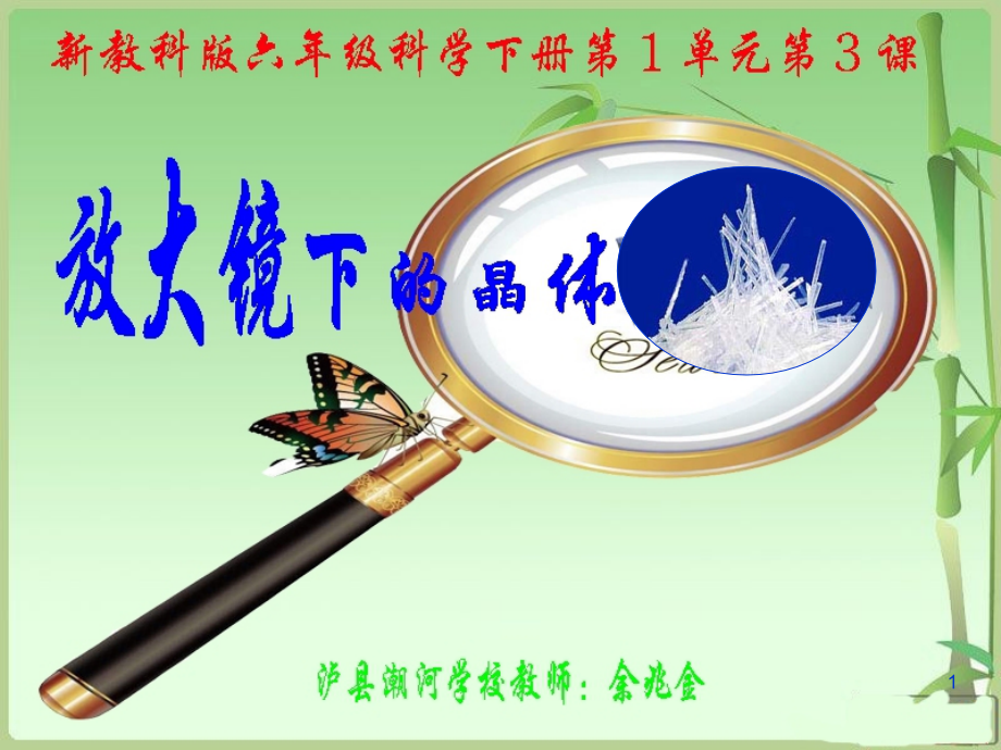 新教科版六年级下册科学第1单元第3课《放大镜下的晶体课件》.ppt_第1页