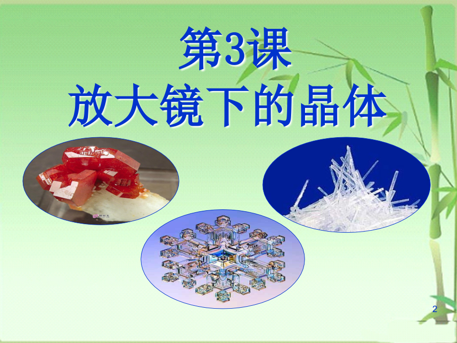 新教科版六年级下册科学第1单元第3课《放大镜下的晶体课件》.ppt_第2页