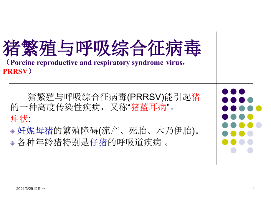 猪繁殖与呼吸综合征病毒-【优质PPT】.ppt_第1页