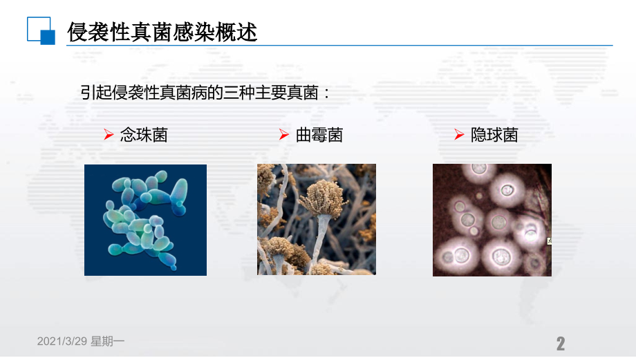 侵袭性真菌感染实验室诊断与临床应用.ppt_第2页