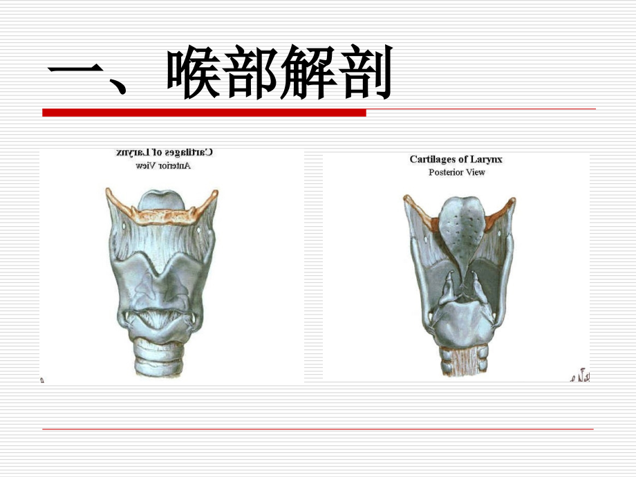 医学气管插管操作流程图文专题课件.pptx_第2页