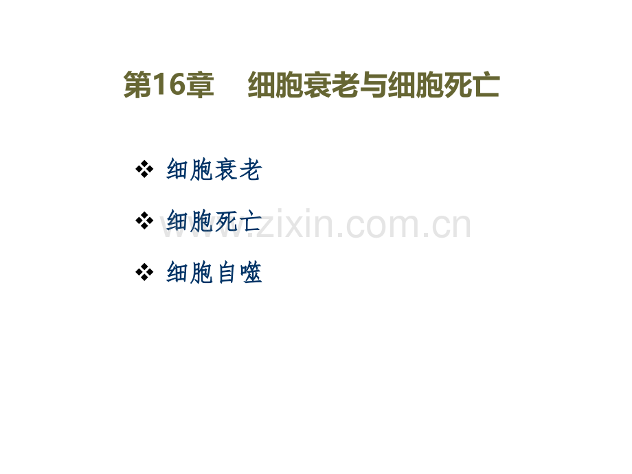 医学细胞生物学细胞衰老和细胞死亡优质课件.pptx_第2页