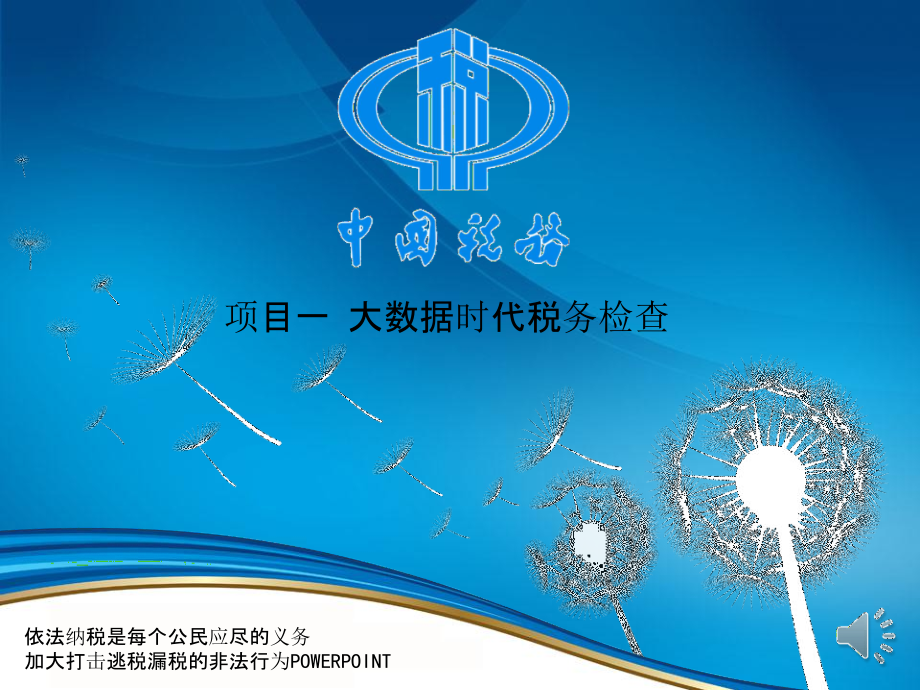 税务检查教程整套教学讲义.pptx_第1页