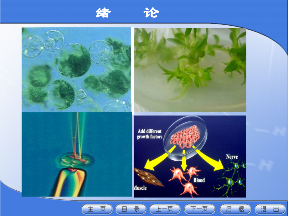 细胞工程524页全书电子教案课件.ppt_第1页