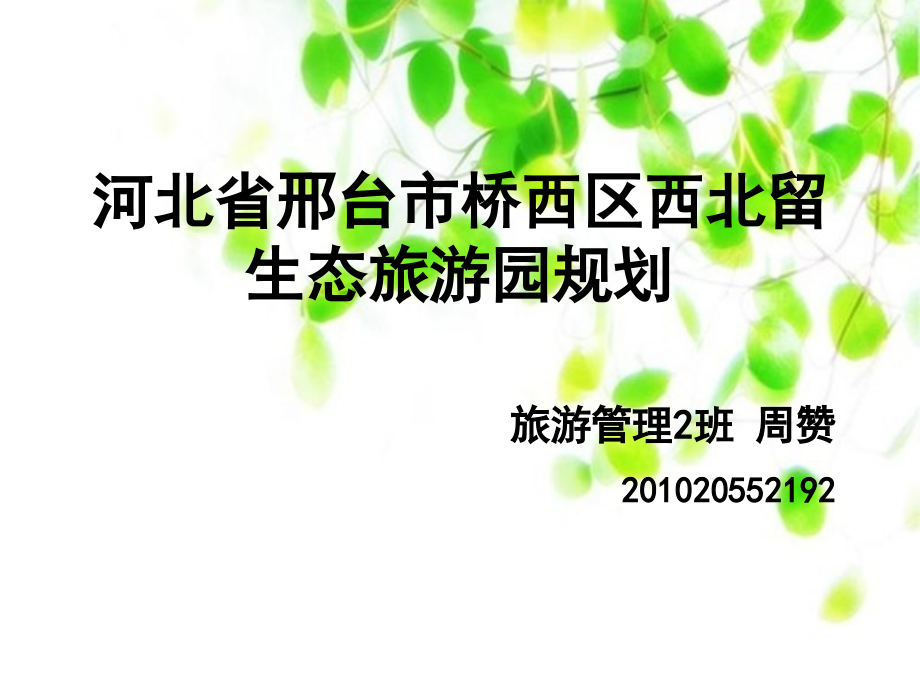 西北留规划正式.ppt_第1页